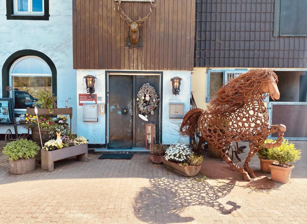 Hof Vierzehnender Im Hohen Venn - 70Qm Maisonette - 2 Schlafzimmer - Wohnkueche - Balkon Mit Grill - Monschau - Eifel - Hunde Willkommen - Islandpferde Ngoại thất bức ảnh