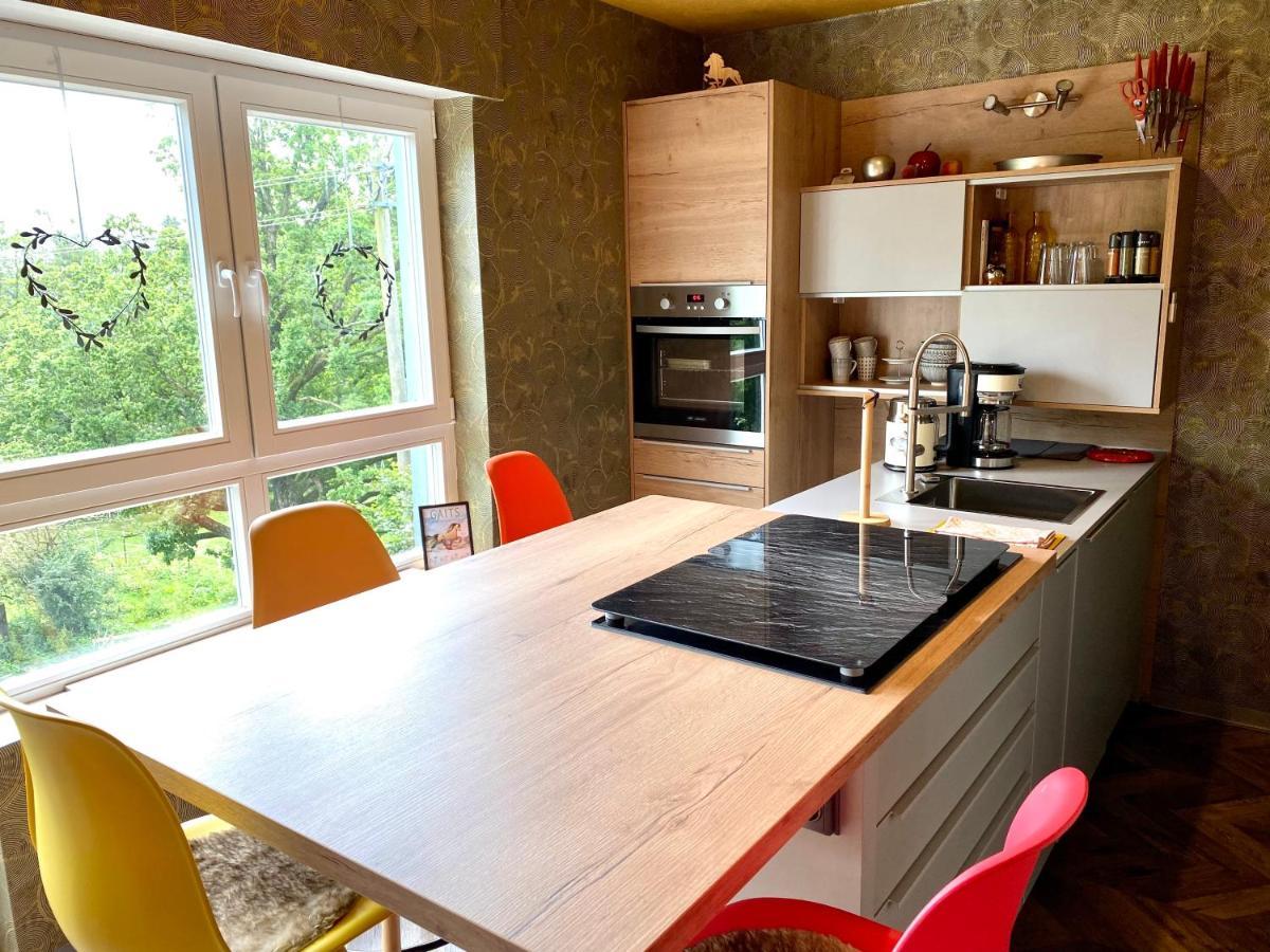 Hof Vierzehnender Im Hohen Venn - 70Qm Maisonette - 2 Schlafzimmer - Wohnkueche - Balkon Mit Grill - Monschau - Eifel - Hunde Willkommen - Islandpferde Ngoại thất bức ảnh