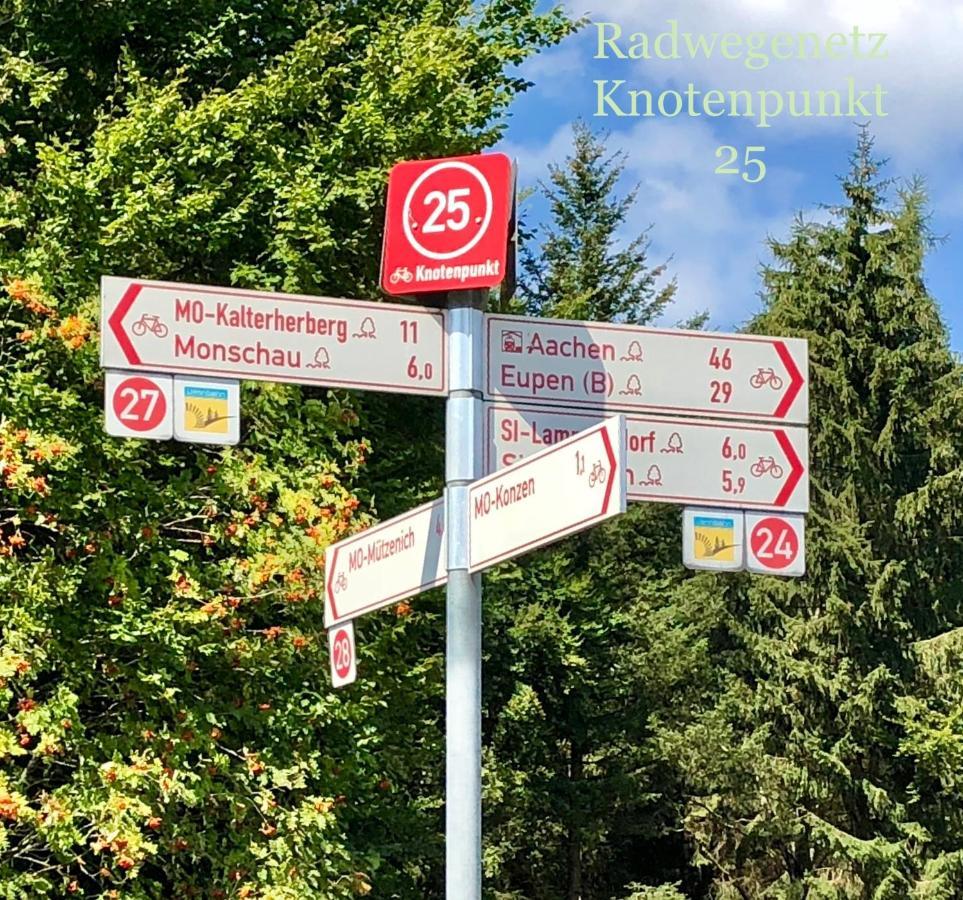 Hof Vierzehnender Im Hohen Venn - 70Qm Maisonette - 2 Schlafzimmer - Wohnkueche - Balkon Mit Grill - Monschau - Eifel - Hunde Willkommen - Islandpferde Ngoại thất bức ảnh