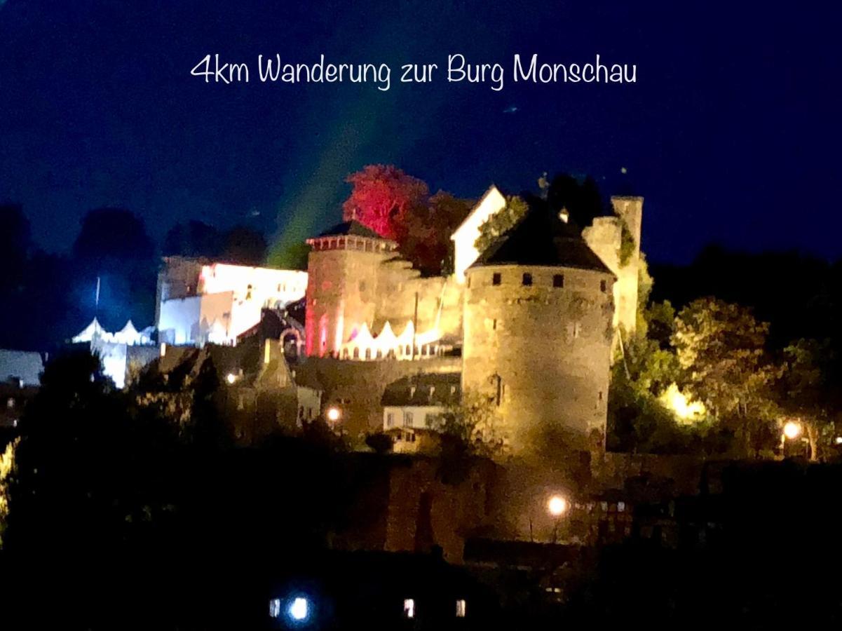 Hof Vierzehnender Im Hohen Venn - 70Qm Maisonette - 2 Schlafzimmer - Wohnkueche - Balkon Mit Grill - Monschau - Eifel - Hunde Willkommen - Islandpferde Ngoại thất bức ảnh