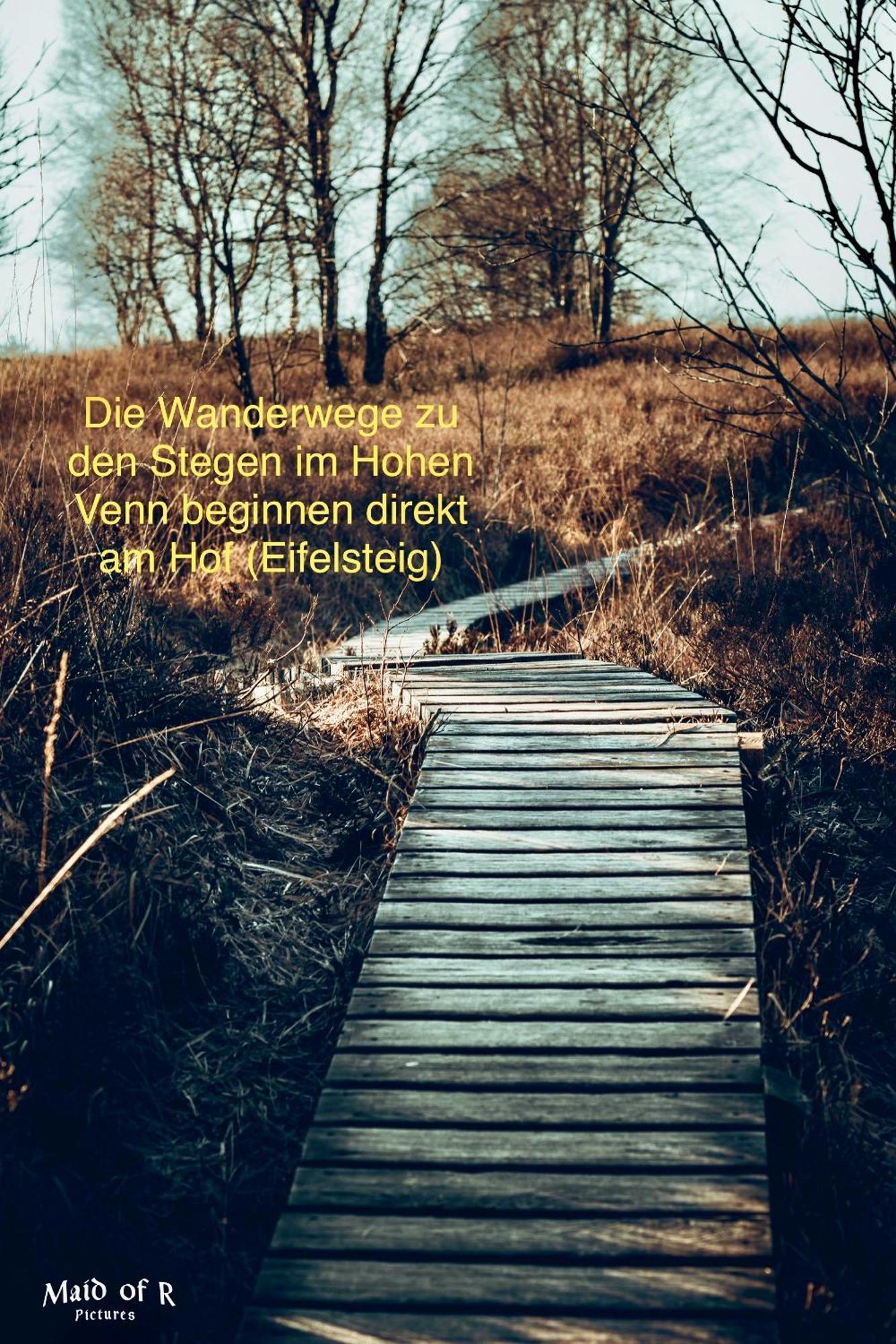 Hof Vierzehnender Im Hohen Venn - 70Qm Maisonette - 2 Schlafzimmer - Wohnkueche - Balkon Mit Grill - Monschau - Eifel - Hunde Willkommen - Islandpferde Ngoại thất bức ảnh