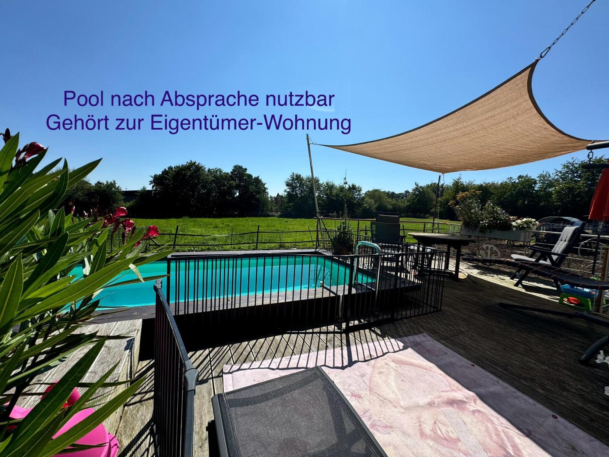 Hof Vierzehnender Im Hohen Venn - 70Qm Maisonette - 2 Schlafzimmer - Wohnkueche - Balkon Mit Grill - Monschau - Eifel - Hunde Willkommen - Islandpferde Ngoại thất bức ảnh